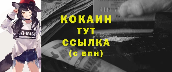 тгк Инсар