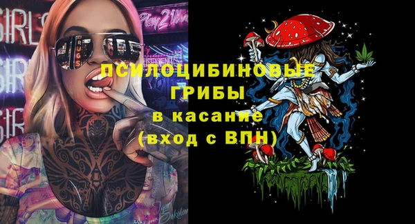 сатива Зерноград