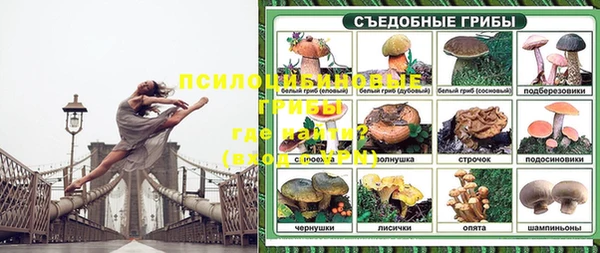 сатива Зерноград