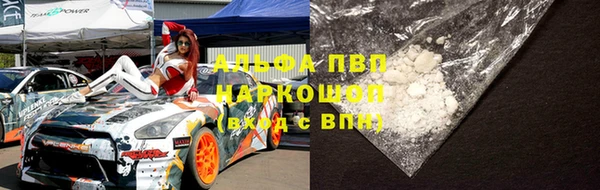 сатива Зерноград