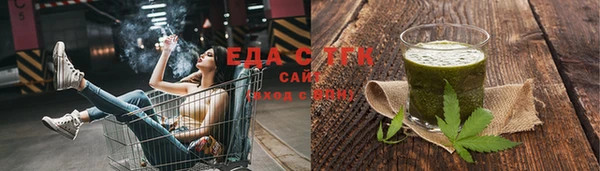 тгк Инсар