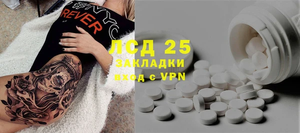 тгк Инсар