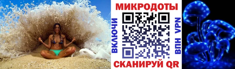 Псилоцибиновые грибы Psilocybine cubensis  Купить где  Выборг 