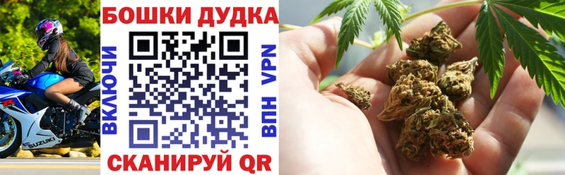 Купить закладки  Выборг  Бошки марихуана THC 21% 